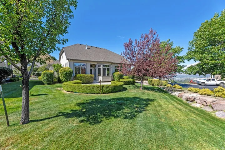 Expansive lawn with mature trees and sculpted hedges