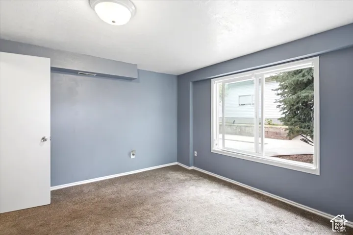 Plush carpeting, neutral wall color, and a sliding window