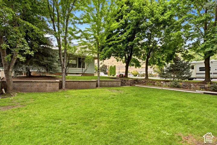 Expansive green lawn framed by mature trees