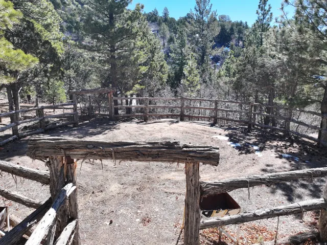 Fenced outdoor enclosure with a wooden gate, surrounded by mature trees
