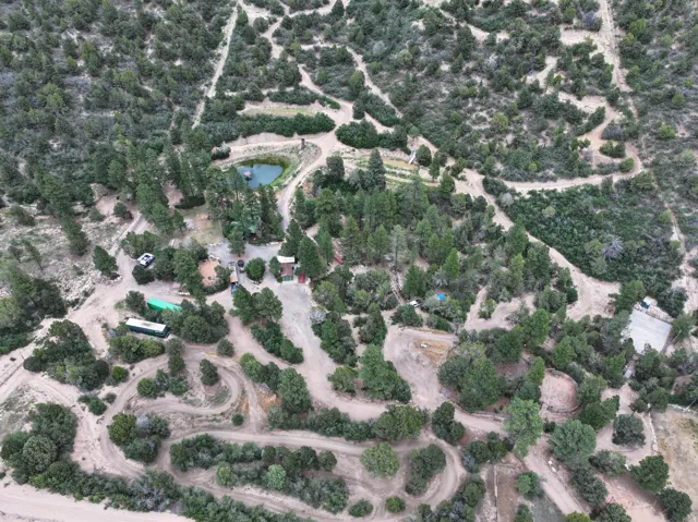 Expansive natural landscaping with mature trees, multiple outbuildings, and a water feature