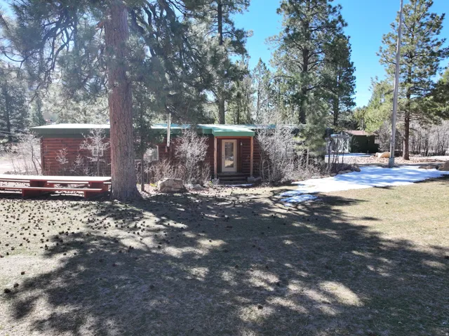Log-sided exterior with a natural wood entry door, surrounding mature trees, and a grassy outdoor area