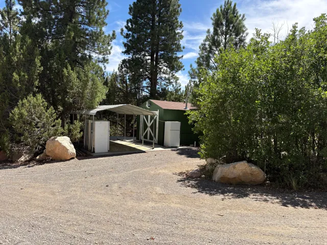 Gravel driveway with a metal carport structure, surrounded by mature trees and shrubs
