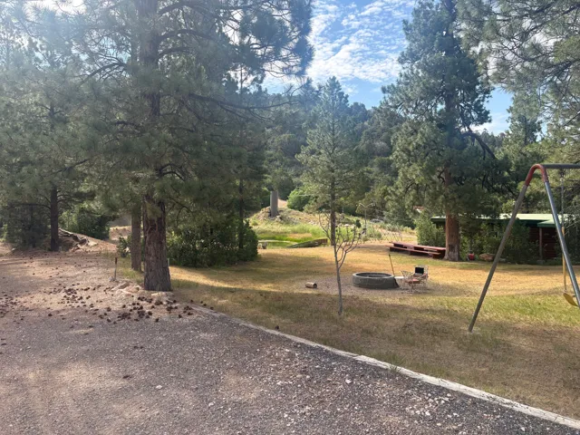 Expansive outdoor space featuring mature pine trees, a fire pit area, and a green building structure