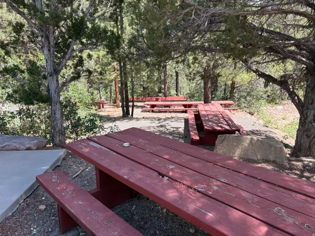 Outdoor recreation area featuring multiple picnic tables, mature trees, and a concrete pad