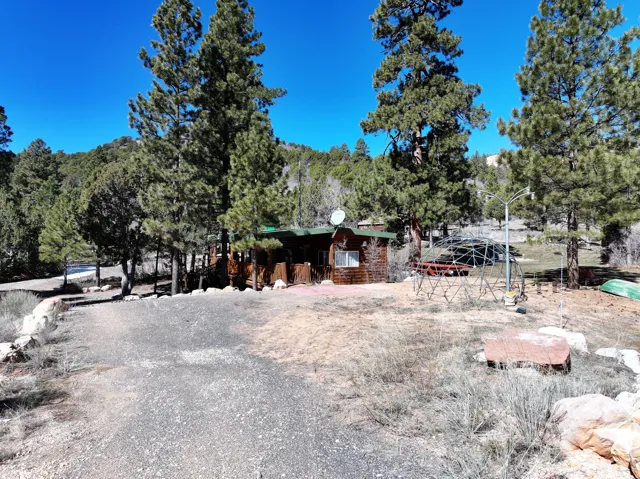 Wood-sided cabin with a green roof, set among mature evergreen trees