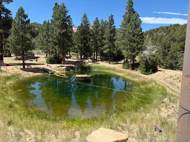 Expansive natural pond with lush surrounding foliage and mature trees, set against a backdrop of rolling hills
