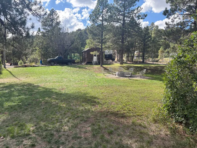Grassed yard with mature trees, a built-in fire pit, and a wooded backdrop