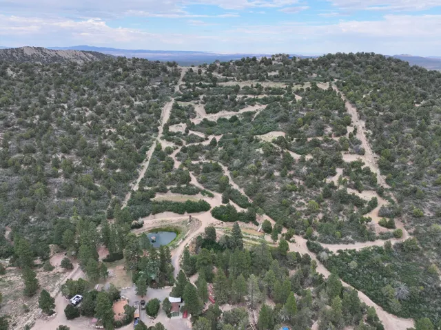 Expansive acreage featuring natural terrain, a serene pond, multiple unpaved pathways, and dense surrounding foliage