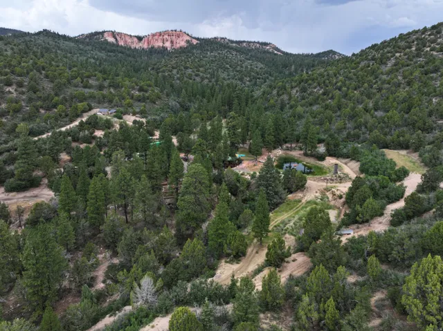 Expansive natural landscape featuring dense tree cover, multiple structures, and a prominent pond