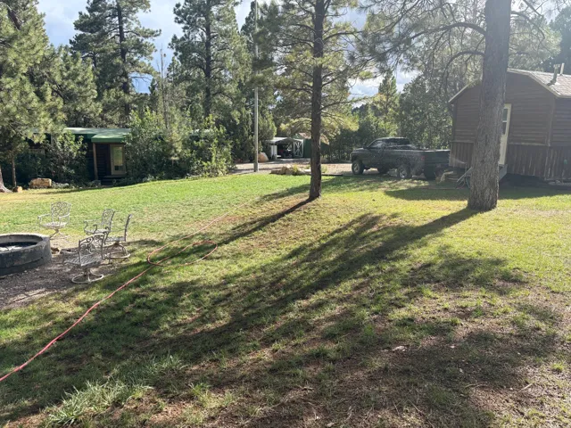 Expansive grassy yard with mature trees and a stone fire pit area
