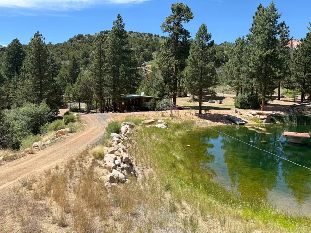 Wood-sided cabin, surrounded by mature pine trees, featuring a natural pond with a floating dock