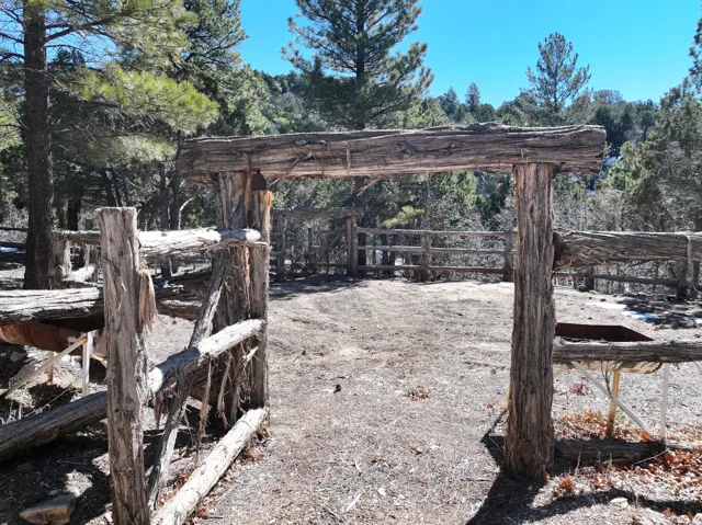 Rustic wooden gate with log posts, natural wood fencing, and surrounding mature trees