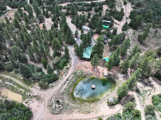 Wooded acreage featuring a private pond and natural terrain