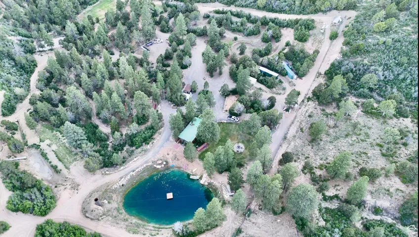 Expansive property with a private pond, abundant mature trees, multiple structures, and extensive unpaved pathways
