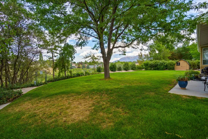 Views of Big Willow Creek are panoramic and unobstructive!