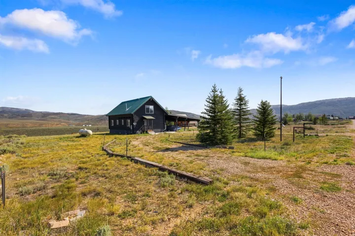Black exterior siding with a dark green roof, front entry with covered porch, natural landscape, and mature evergreens