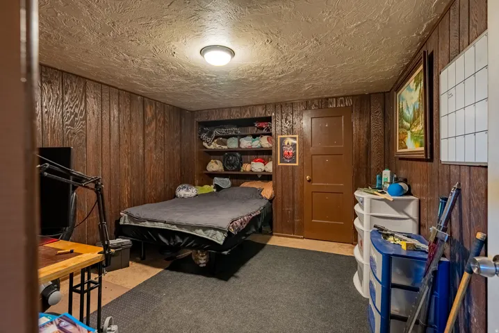 Wood-paneled walls with built-in shelving, a flush-mount ceiling light, and dark carpeting