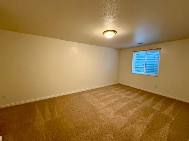 Neutral wall finishes, recessed window, and light-colored carpeting