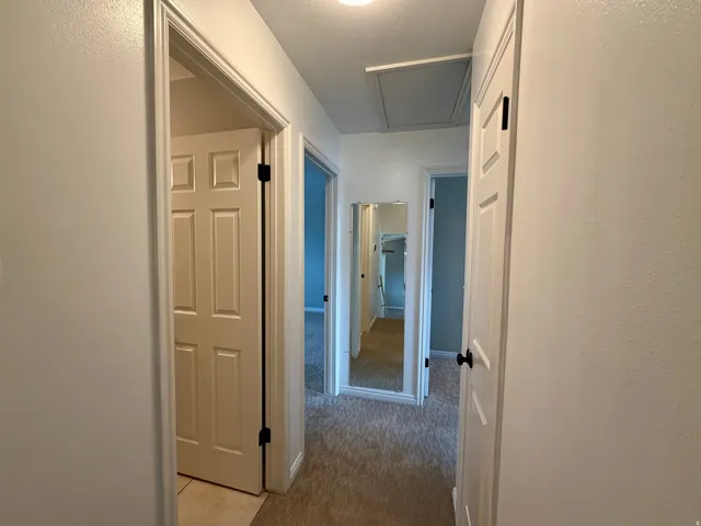 Carpeted hallway with white walls and trim, featuring a flush-mount ceiling light and a ceiling access panel
