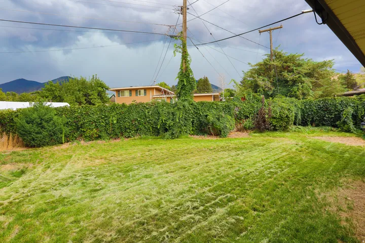Expansive grassy area with dense perimeter foliage and a distant mountain backdrop