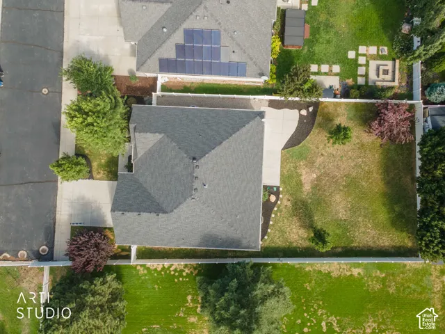 Expansive lot featuring a concrete driveway, mature trees, and landscaping elements