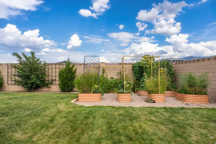 Manicured lawn with a gravel bed, multiple raised garden planters, and mature perimeter trees