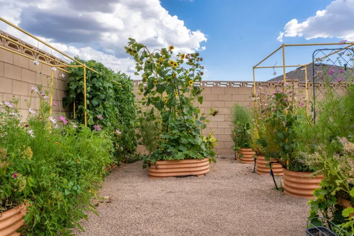 Enclosed garden area featuring multiple circular raised garden beds, a gravel-covered ground surface, and a block wall perimeter