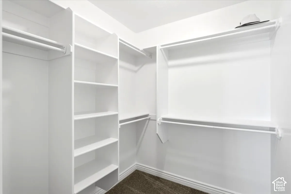Walk-in closet in master bedroom