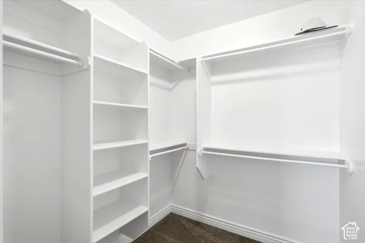 Walk-in closet in master bedroom
