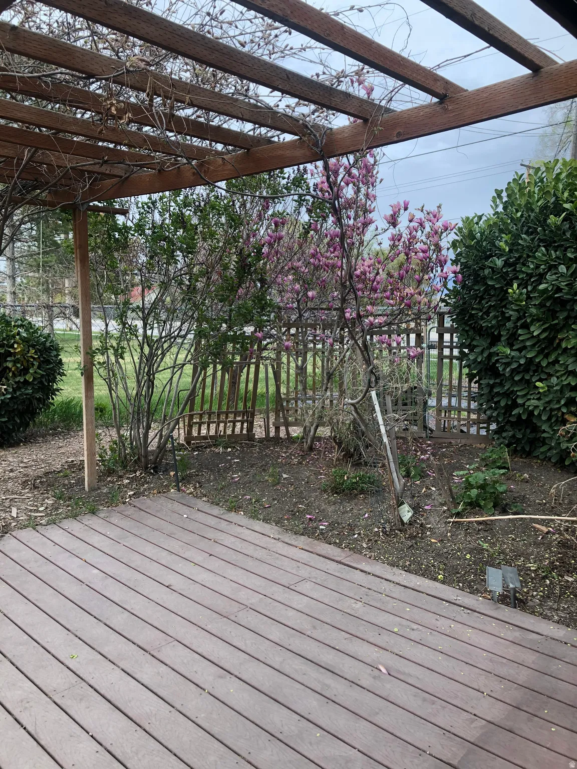 Wood-finish deck with a garden area, featuring a wooden pergola, flowering shrub, and privacy fencing
