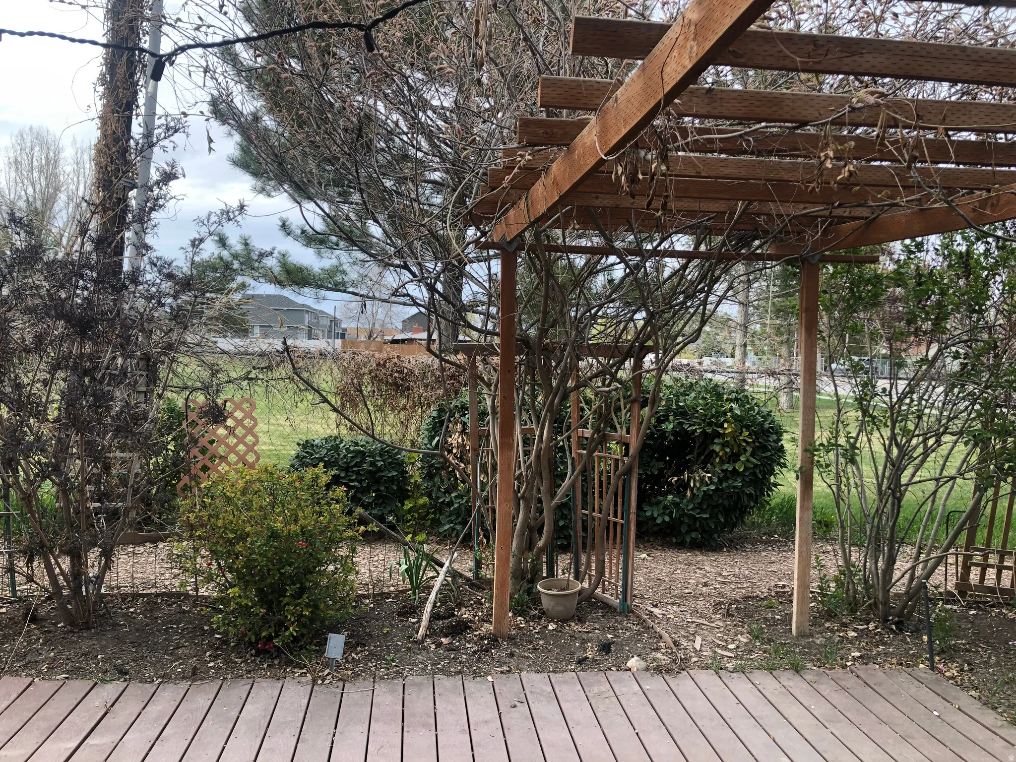 Wood-finish decking with an overhead wood pergola