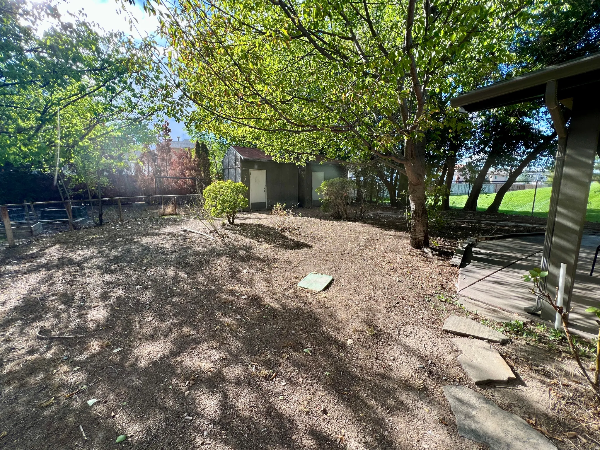 Expansive outdoor space featuring mature trees, a detached storage structure, concrete patio, and stone pathway