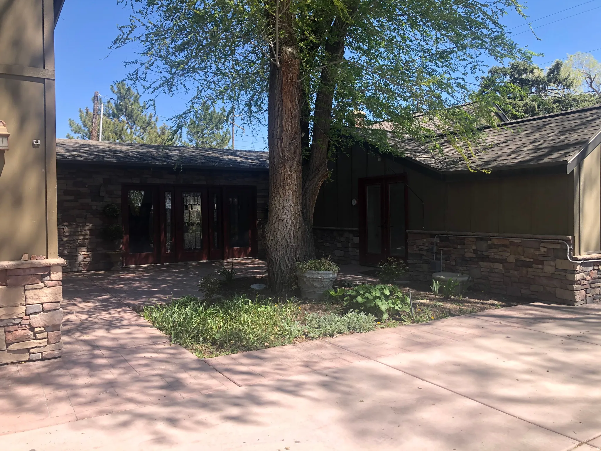 Stone veneer accents, double-pane glass doors, mature tree, paved entryway, and a low-pitched roofline