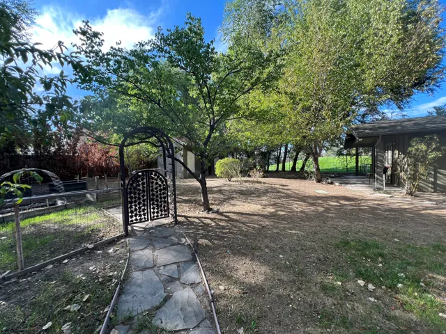 Expansive backyard featuring mature trees, a stone pathway, decorative metal archway, and a covered patio area
