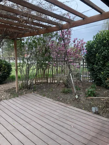 Wood-finish deck with a garden area, featuring a wooden pergola, flowering shrub, and privacy fencing
