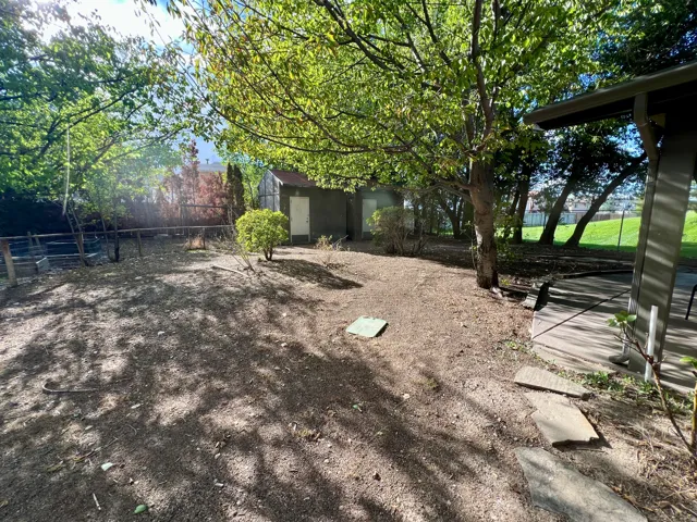 Expansive outdoor space featuring mature trees, a detached storage structure, concrete patio, and stone pathway