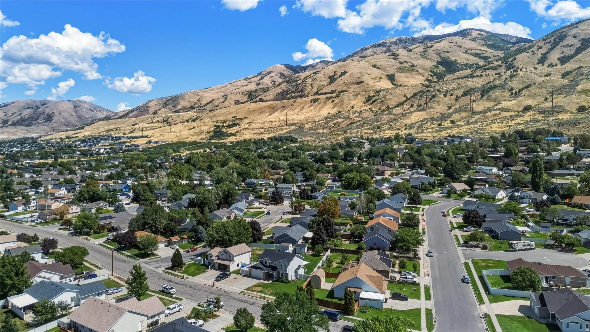 Residential neighborhood with mature trees and mountain backdrop