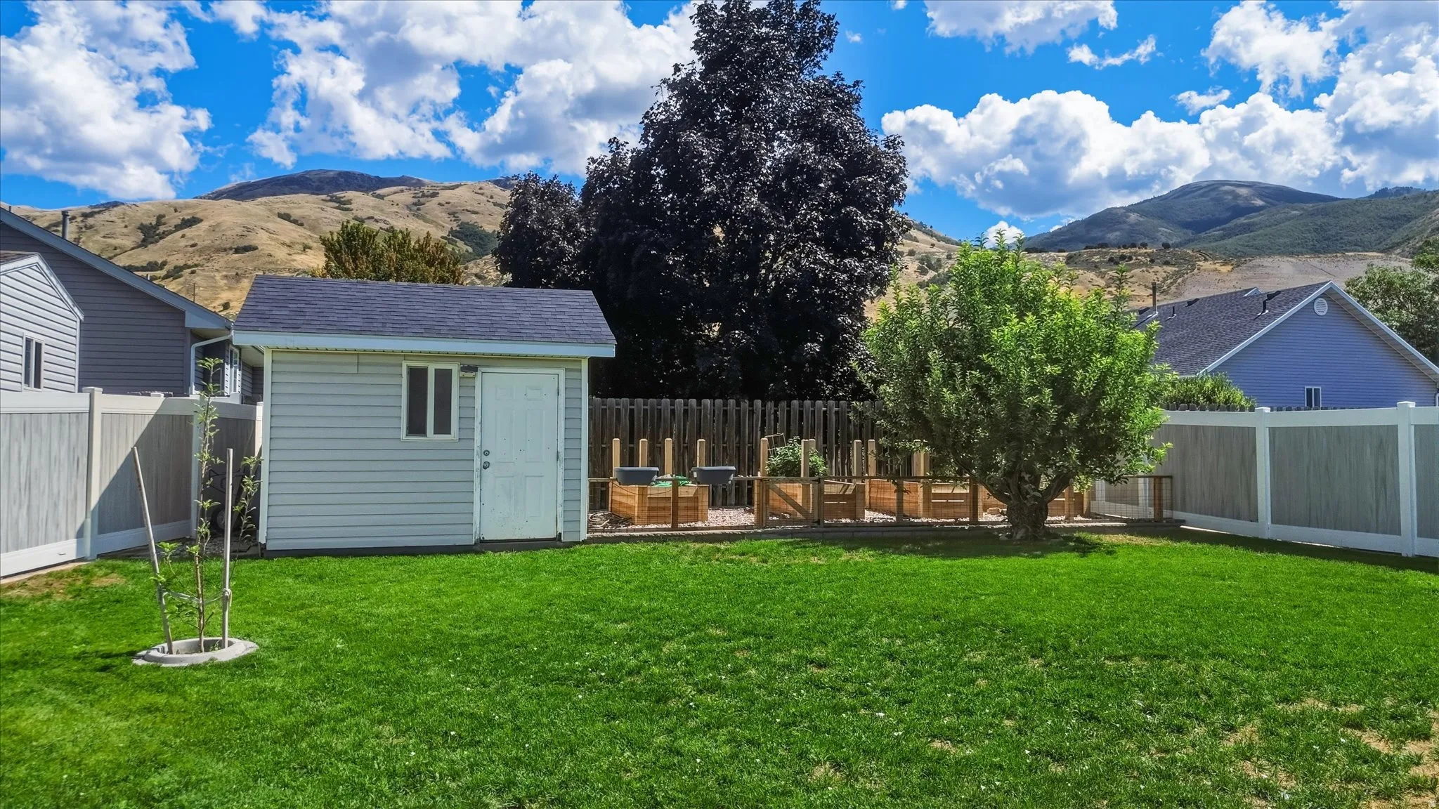 Expansive lawn area with a detached storage shed, raised garden beds, and mature trees