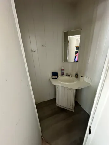 Compact powder room featuring a curved pedestal sink, wall-mounted mirror, vertical shiplap paneling, and dark wood-finish flooring