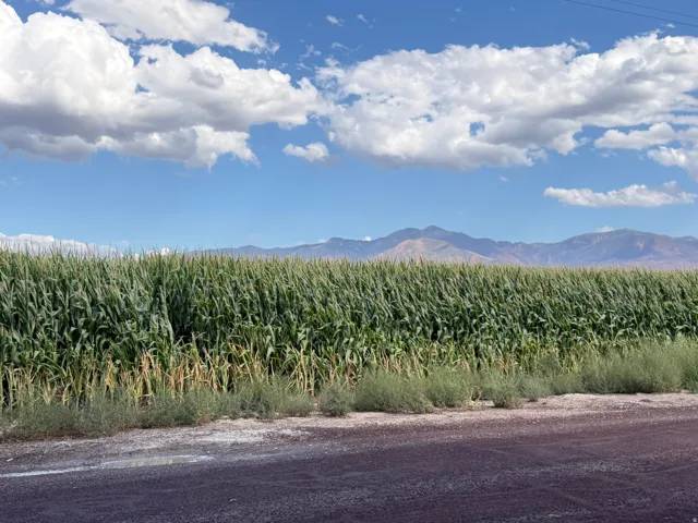150 S 3900 W, Flowell, Utah 84631