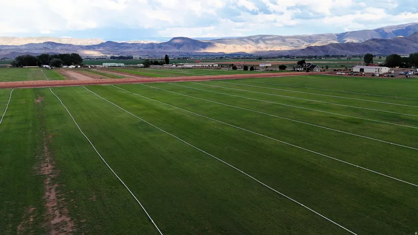 Expansive green fields with visible irrigation lines, surrounded by distant mountains