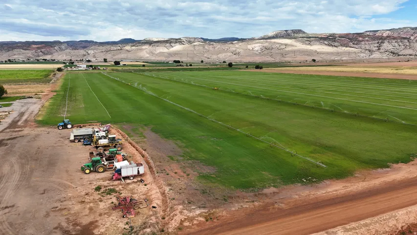 Expansive cultivated fields with irrigation systems, bordered by a dirt road and distant hills
