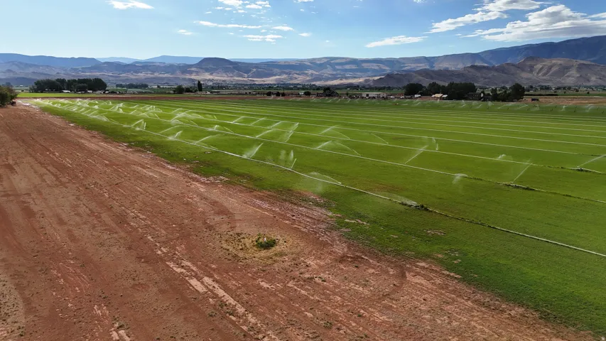 Expansive green fields with automated irrigation systems