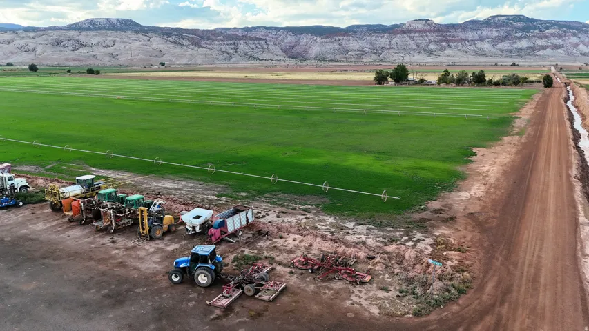Expansive green field featuring linear cultivation patterns, irrigation lines, and a rural dirt road