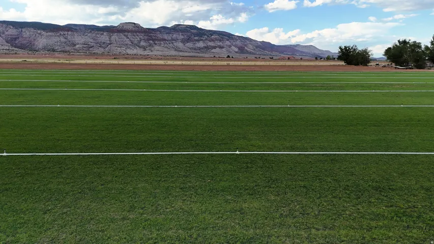 Expansive grassy field with distinct white demarcation lines, set against a distant mountain range