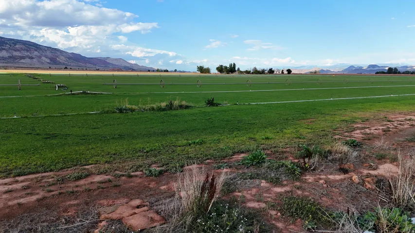 Expansive agricultural field with irrigation system