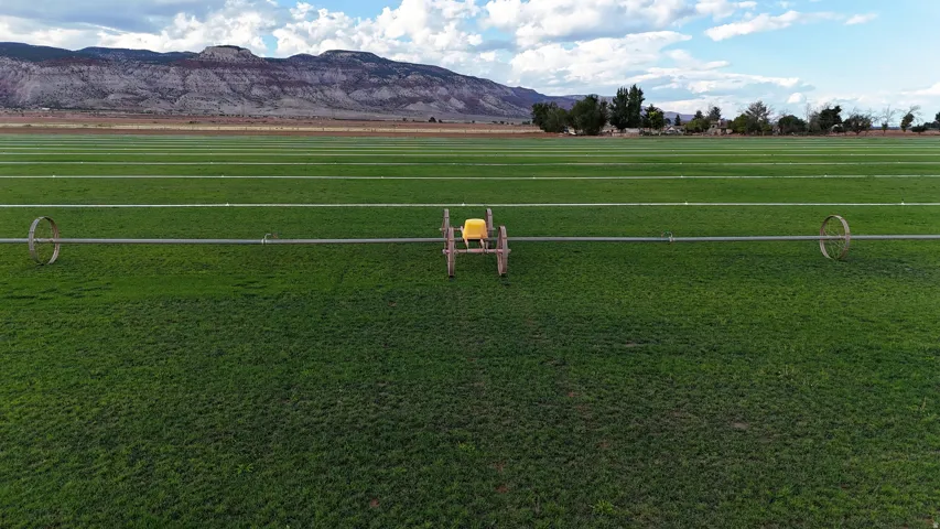 Expansive agricultural field with a green crop, irrigation system, and distant mountain range
