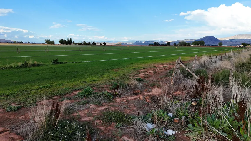 Expansive agricultural land featuring a verdant field and distant mountains under a blue sky