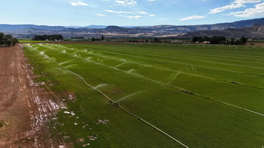 Expansive green agricultural fields with irrigation systems
